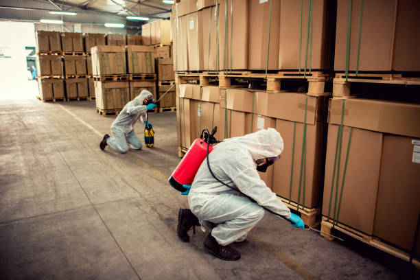 Best Exterminator Services  in Moline, IL
