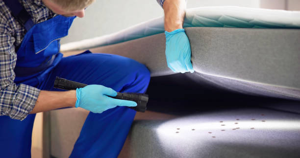 Best Mosquito Control Services  in Moline, IL